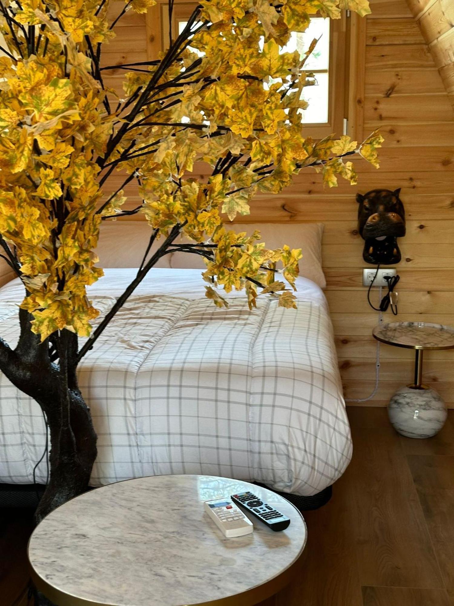 Camping Ripolles 외부 사진