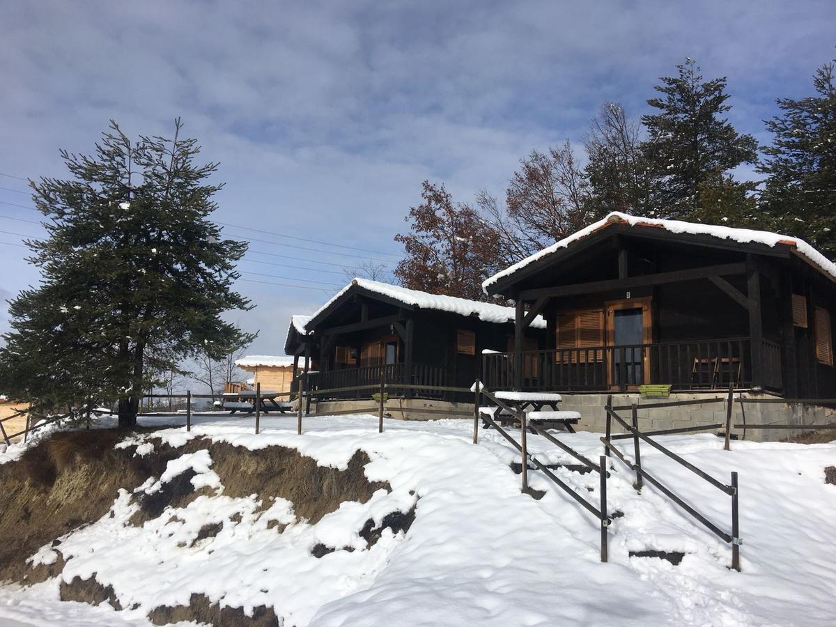 Camping Ripolles 외부 사진